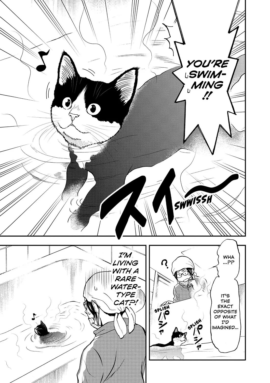 A Gamer Living with a Cat Chapter 25 page 15 - Chapter 25: The Other Side of the Door