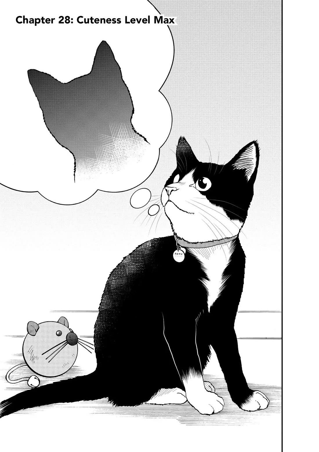 A Gamer Living with a Cat Chapter 28 page 1 - Chapter 28: Cuteness Level Max