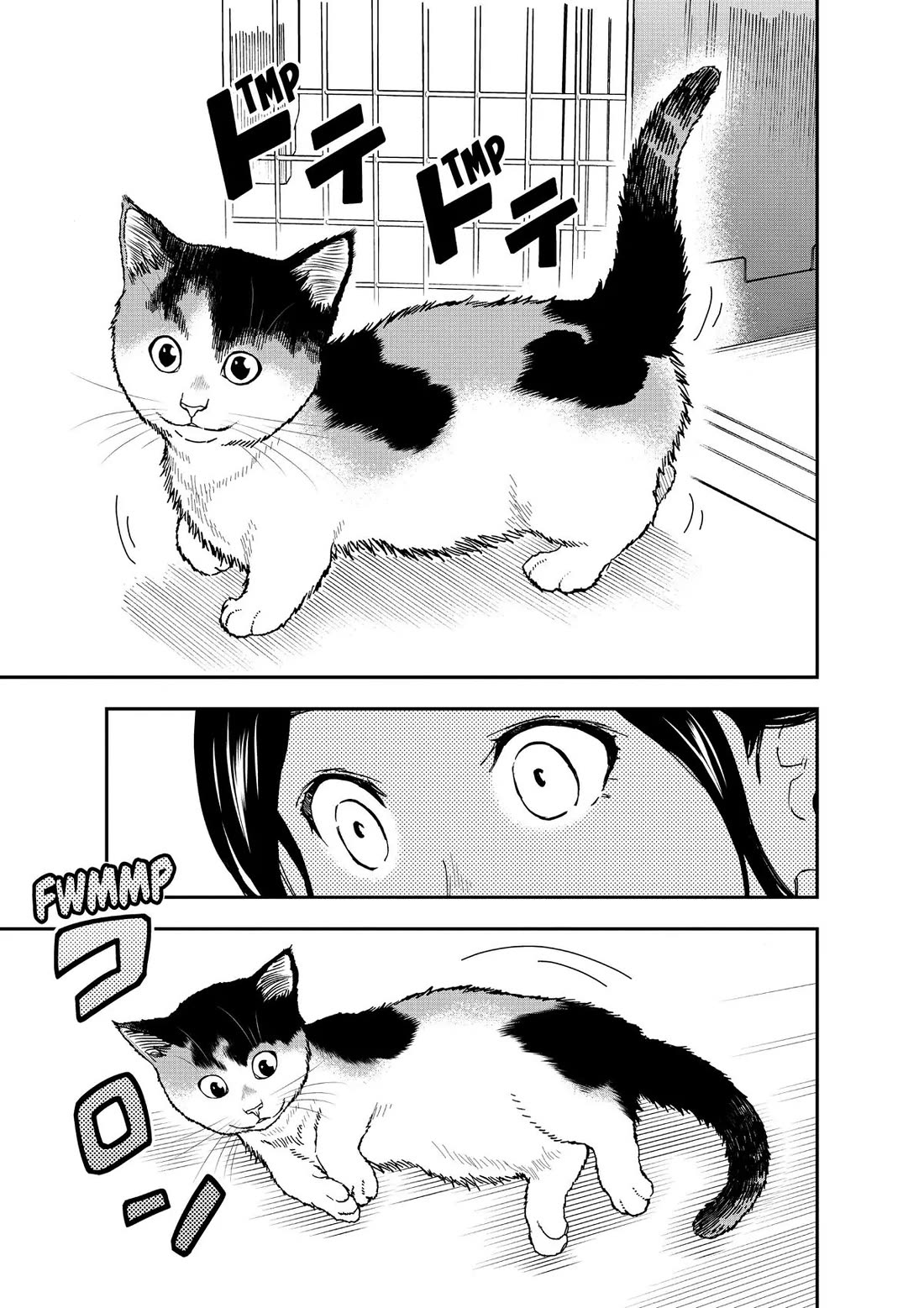A Gamer Living with a Cat Chapter 28 page 13 - Chapter 28: Cuteness Level Max