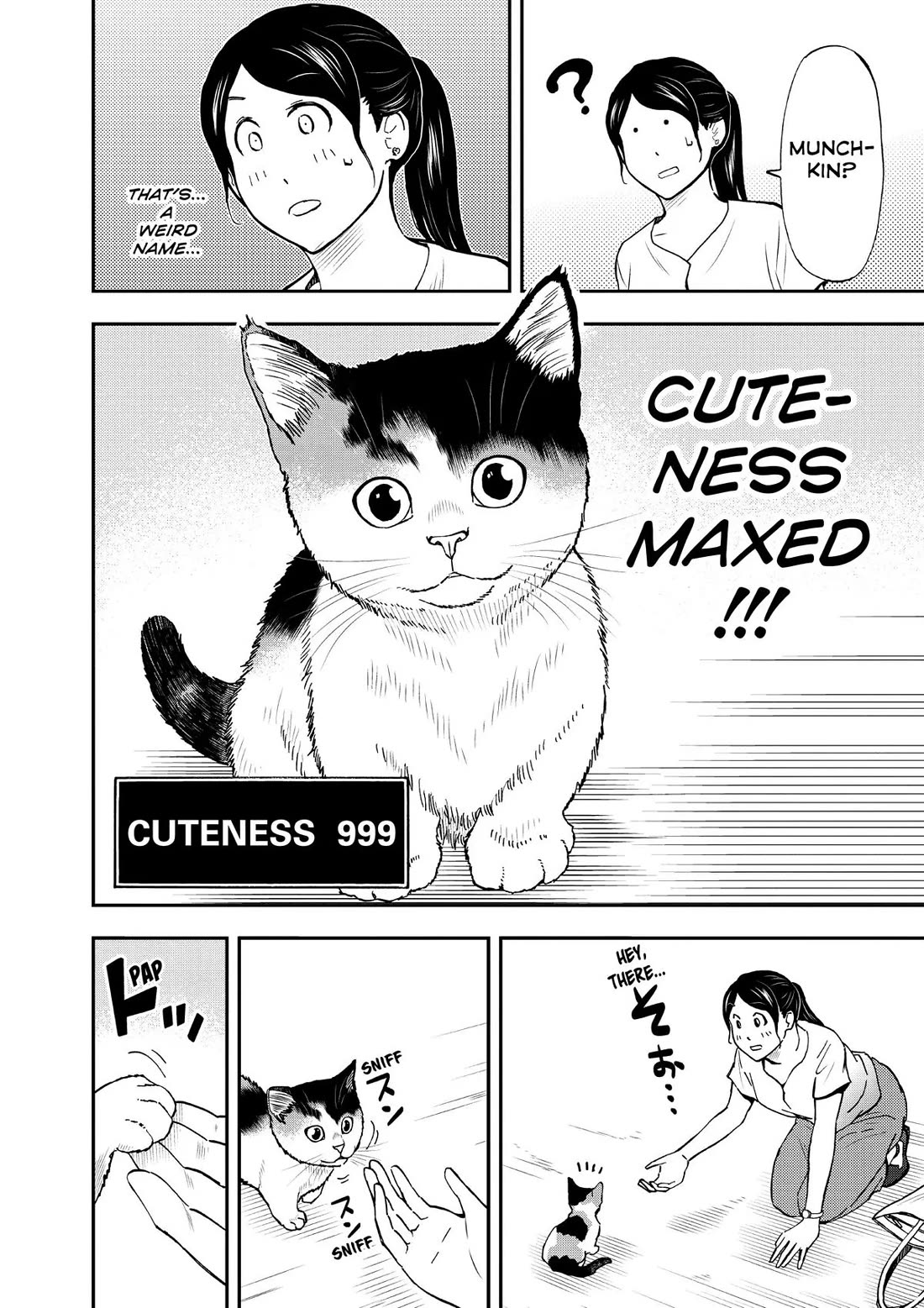 A Gamer Living with a Cat Chapter 28 page 16 - Chapter 28: Cuteness Level Max