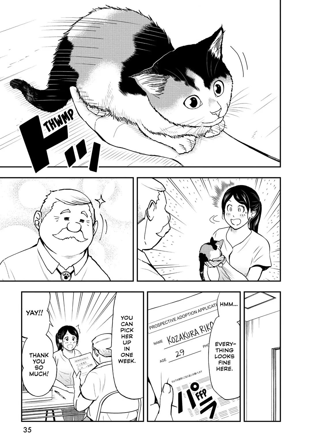 A Gamer Living with a Cat Chapter 28 page 17 - Chapter 28: Cuteness Level Max