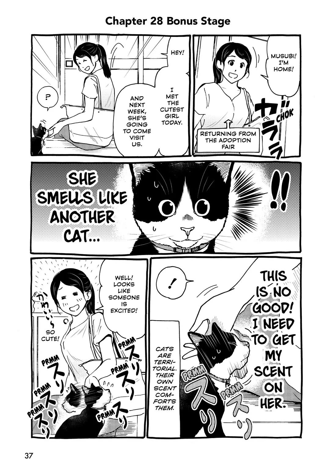 A Gamer Living with a Cat Chapter 28 page 19 - Chapter 28: Cuteness Level Max