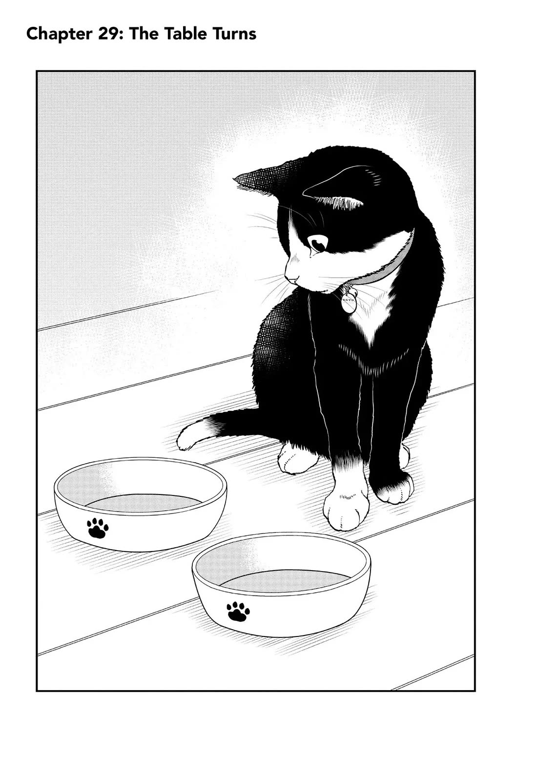 A Gamer Living with a Cat Chapter 29 page 1 - Chapter 29: The Table Turns
