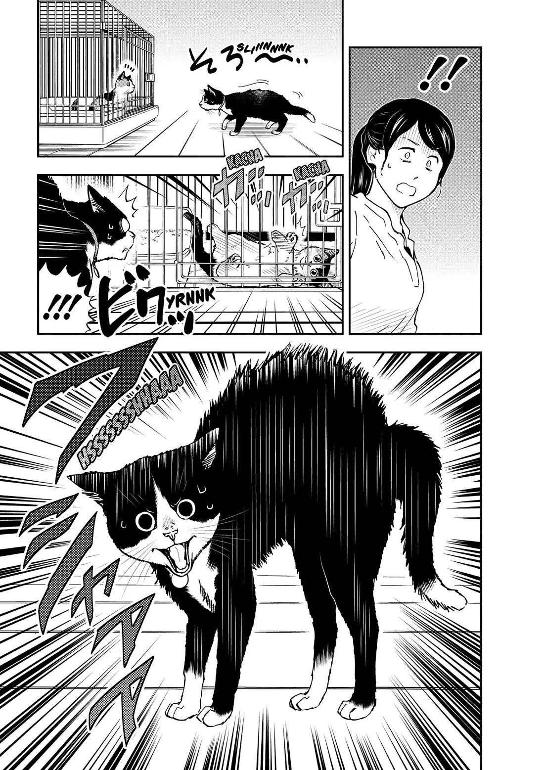 A Gamer Living with a Cat Chapter 29 page 7 - Chapter 29: The Table Turns