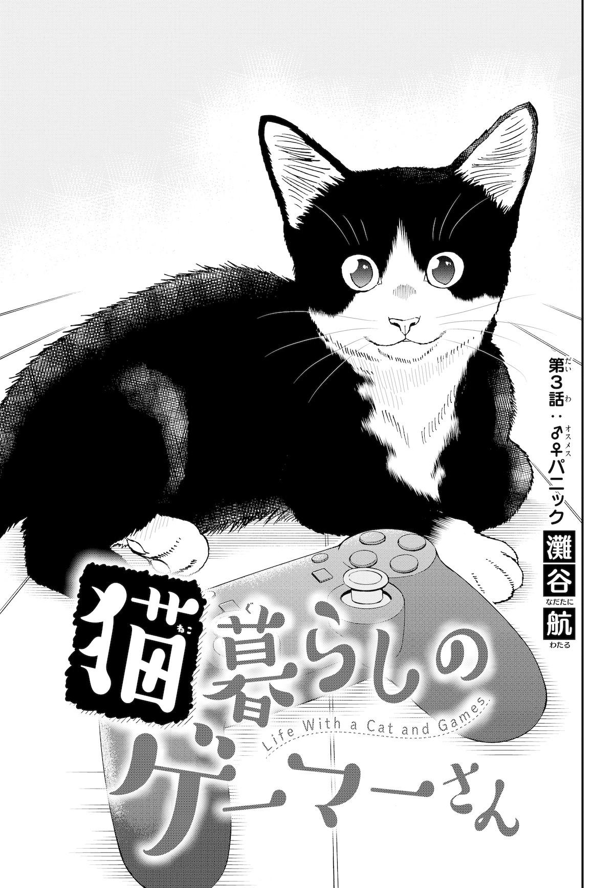A Gamer Living with a Cat Chapter 3 page 1 - Chapter 3: Male/female panic