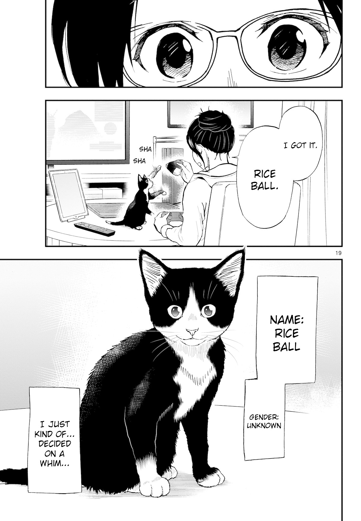A Gamer Living with a Cat Chapter 3 page 19 - Chapter 3: Male/female panic
