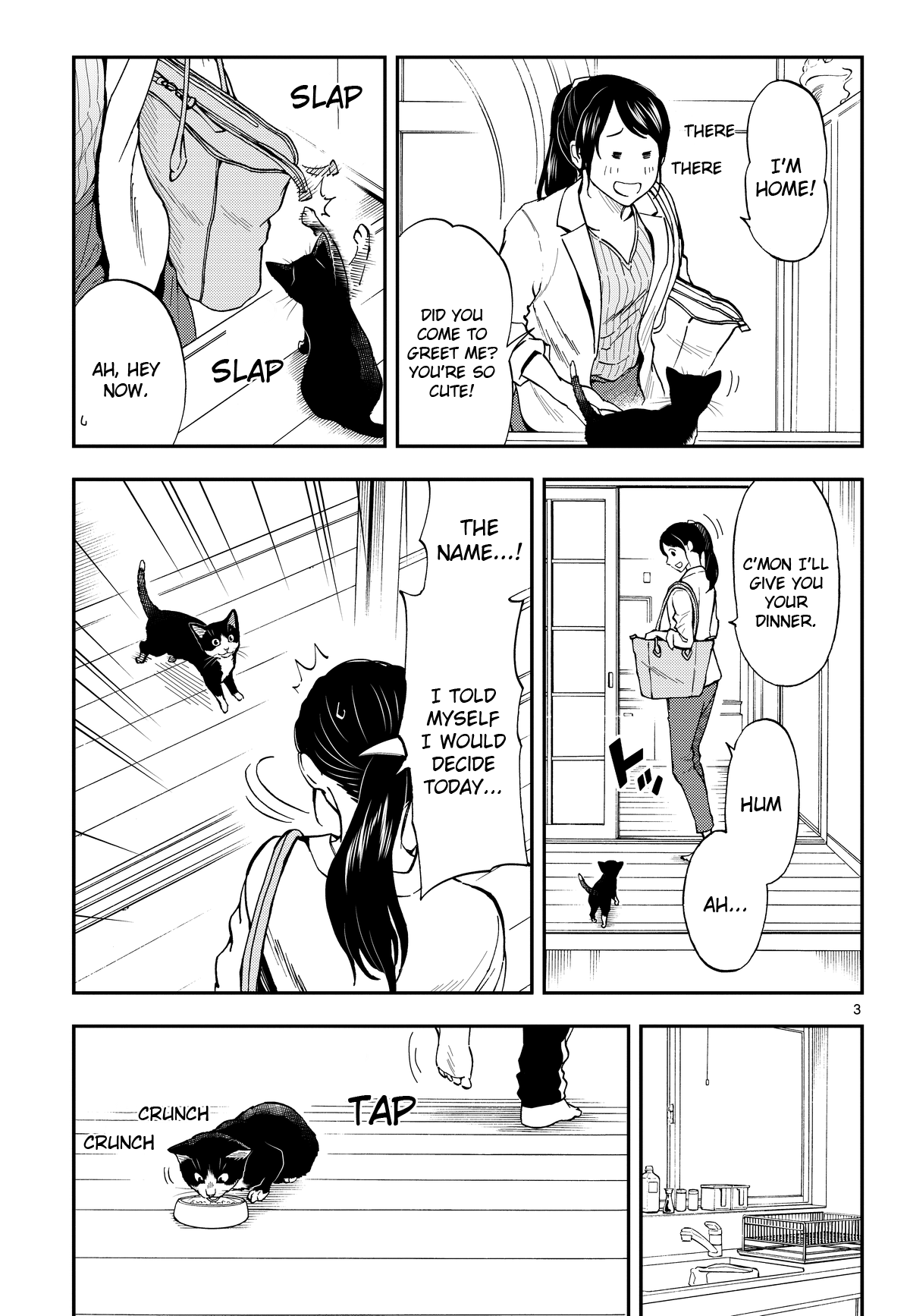 A Gamer Living with a Cat Chapter 3 page 3 - Chapter 3: Male/female panic