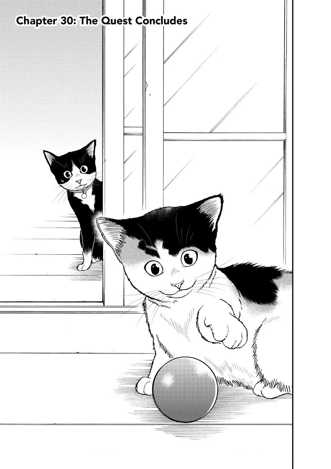 A Gamer Living with a Cat Chapter 30 page 1 - Chapter 30: The Quest Concludes