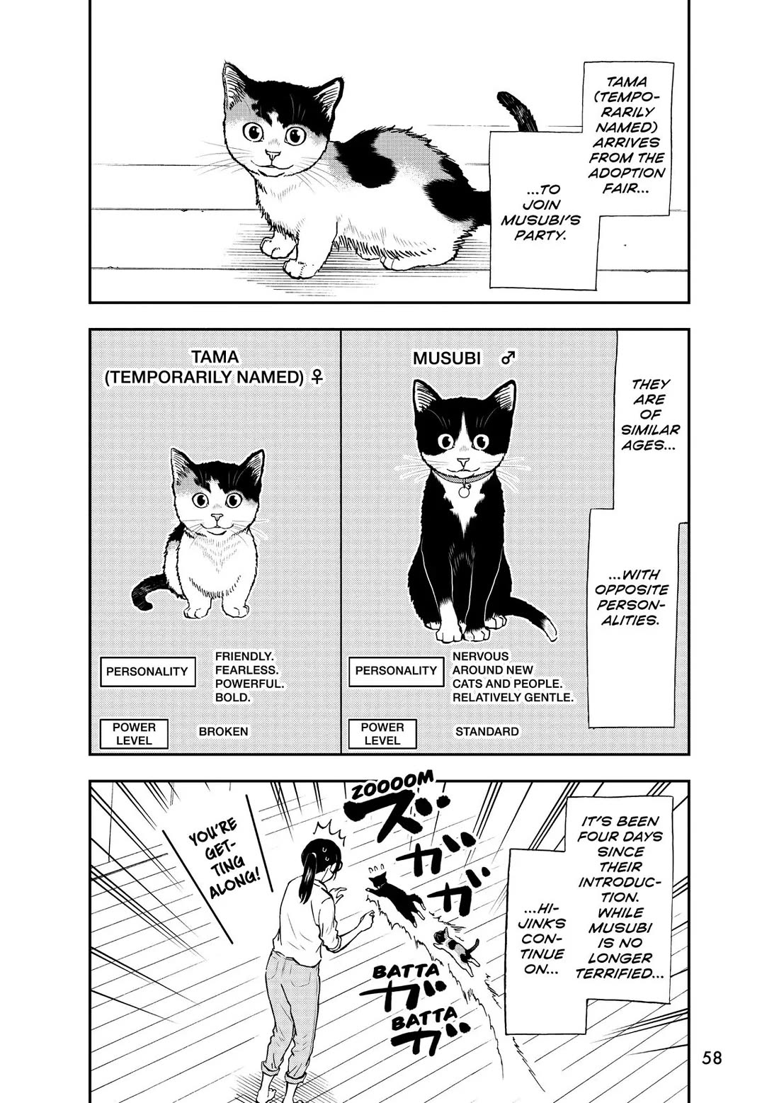 A Gamer Living with a Cat Chapter 30 page 2 - Chapter 30: The Quest Concludes