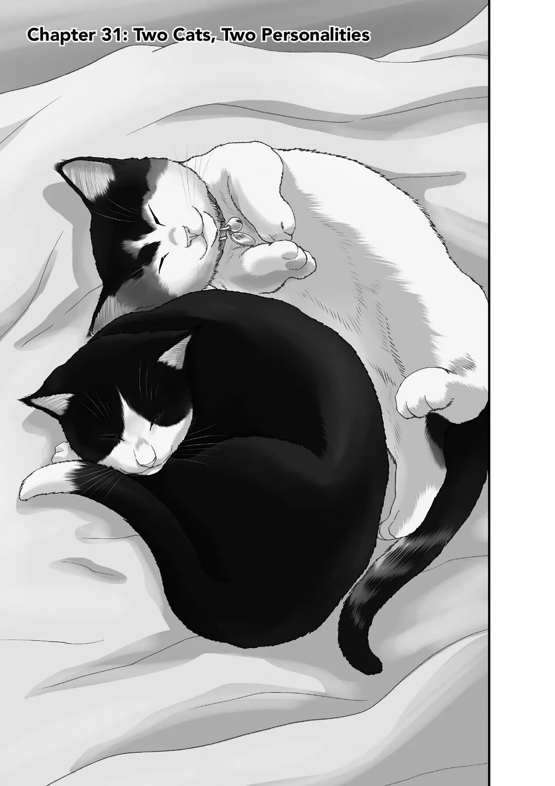A Gamer Living with a Cat Chapter 31 page 1 - Chapter 31: Two Cats, Two Personalities
