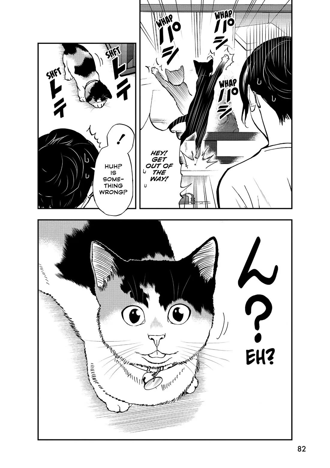 A Gamer Living with a Cat Chapter 31 page 10 - Chapter 31: Two Cats, Two Personalities