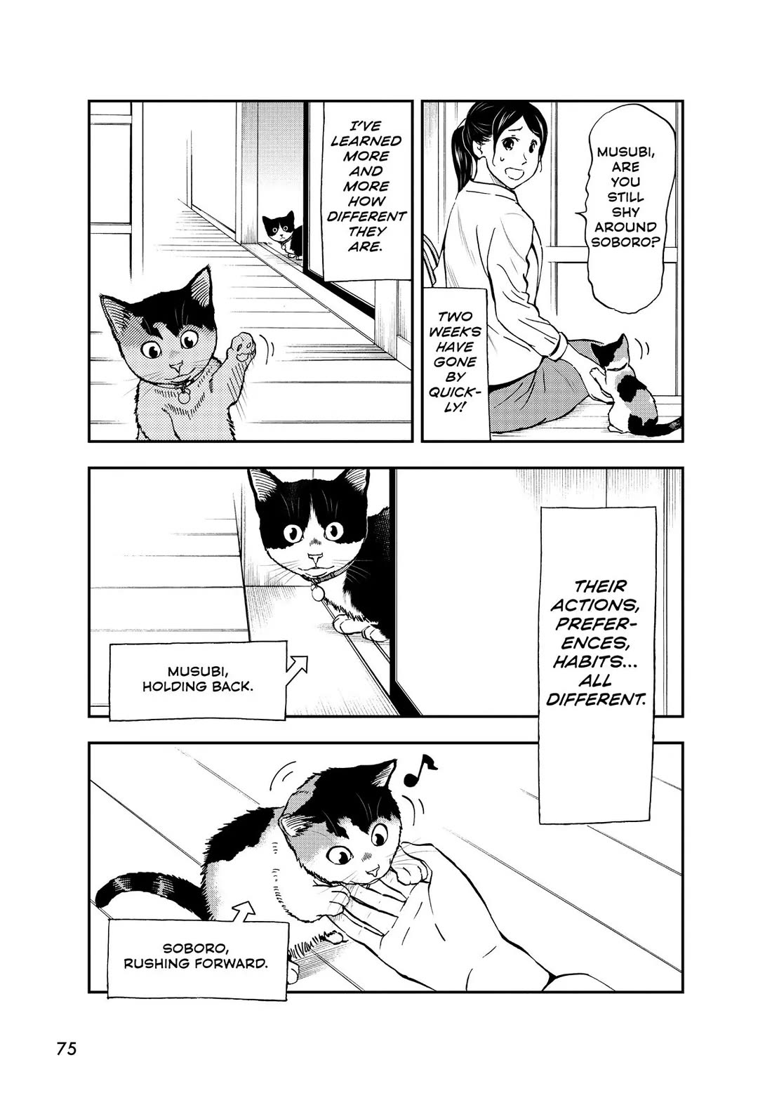 A Gamer Living with a Cat Chapter 31 page 3 - Chapter 31: Two Cats, Two Personalities