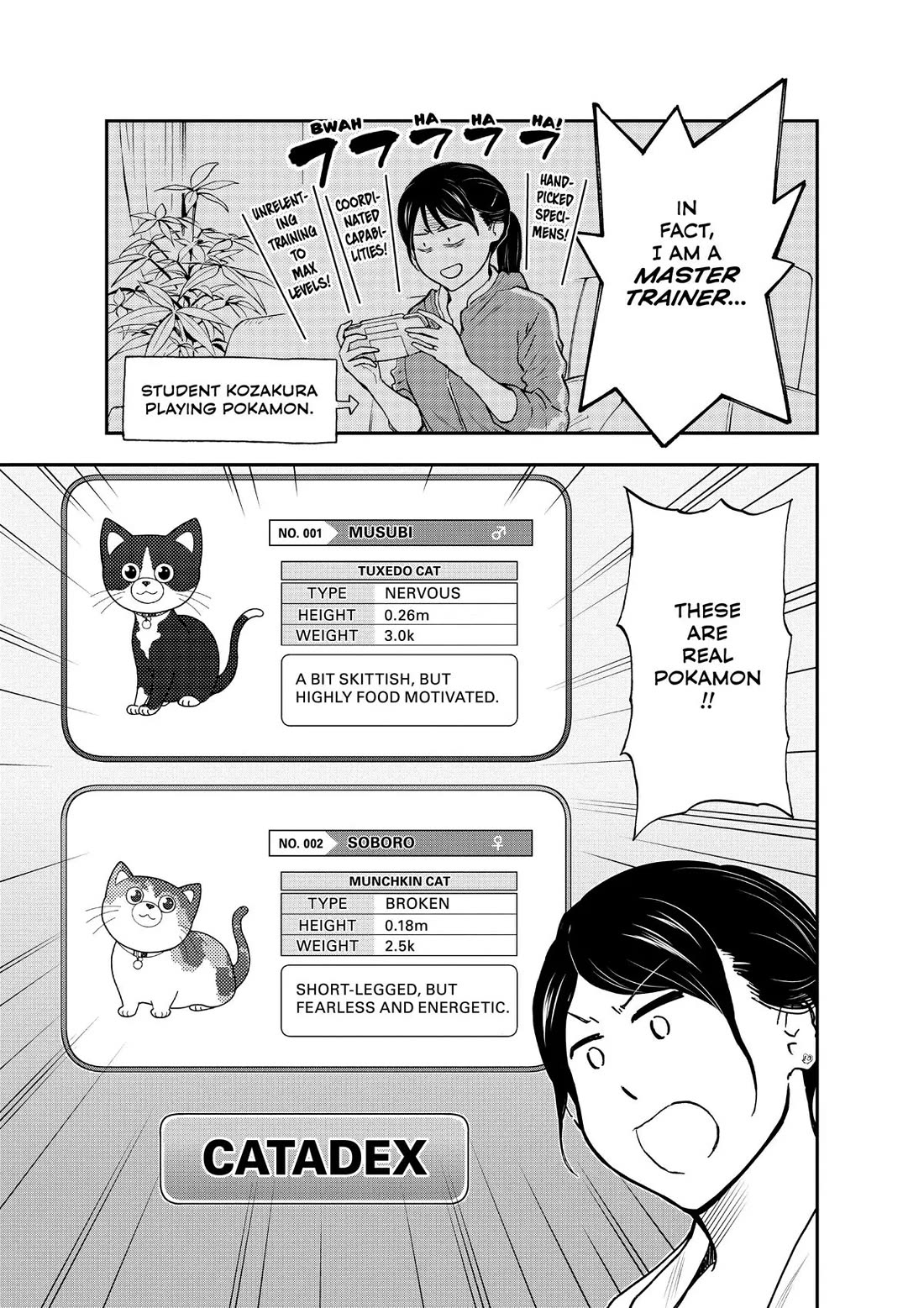 A Gamer Living with a Cat Chapter 31 page 5 - Chapter 31: Two Cats, Two Personalities