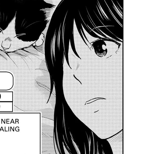 A Gamer Living with a Cat Chapter 31: Two Cats, Two Personalities cover