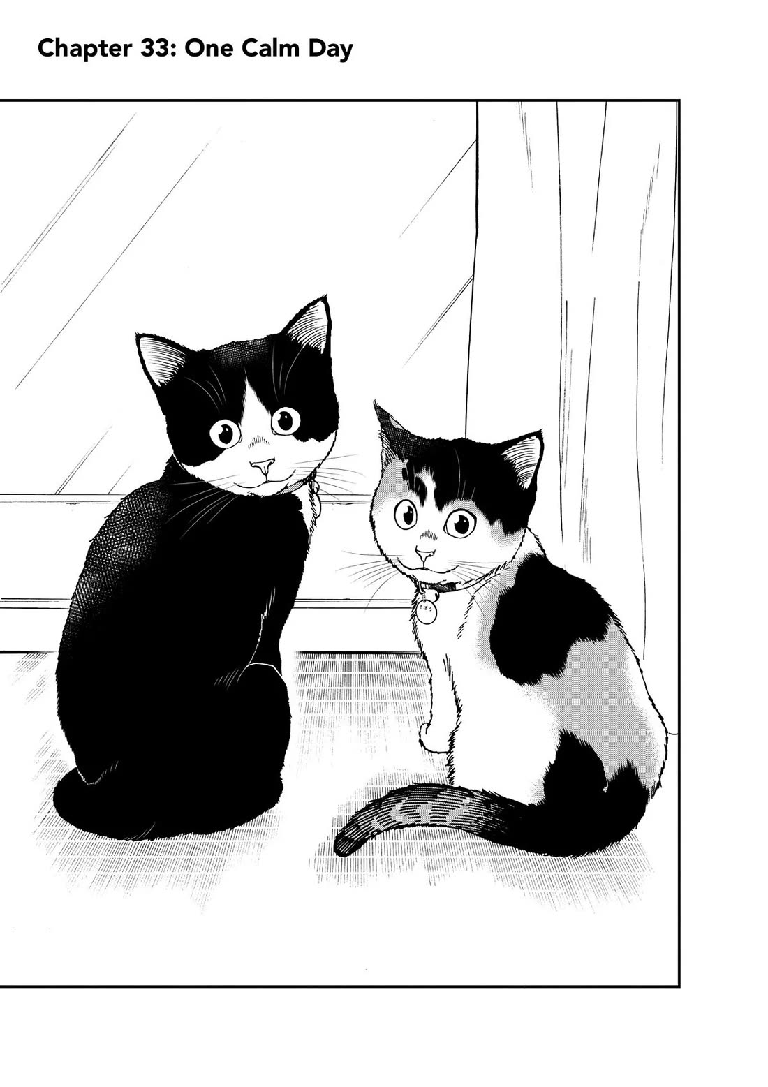 A Gamer Living with a Cat Chapter 33 page 1 - Chapter 33: One Calm Day