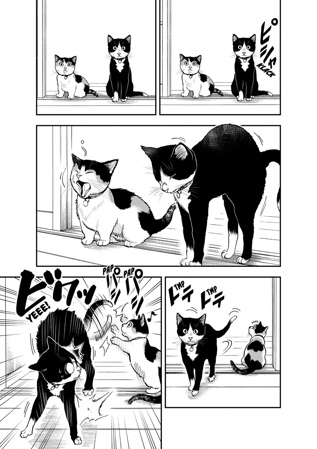 A Gamer Living with a Cat Chapter 33 page 3 - Chapter 33: One Calm Day