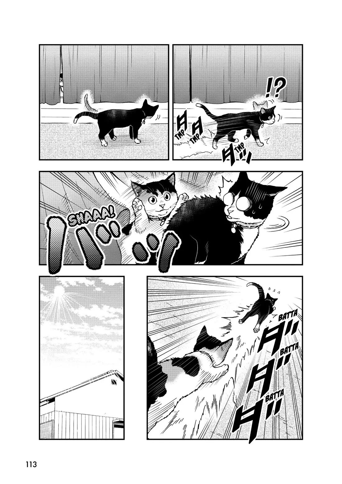 A Gamer Living with a Cat Chapter 33 page 5 - Chapter 33: One Calm Day