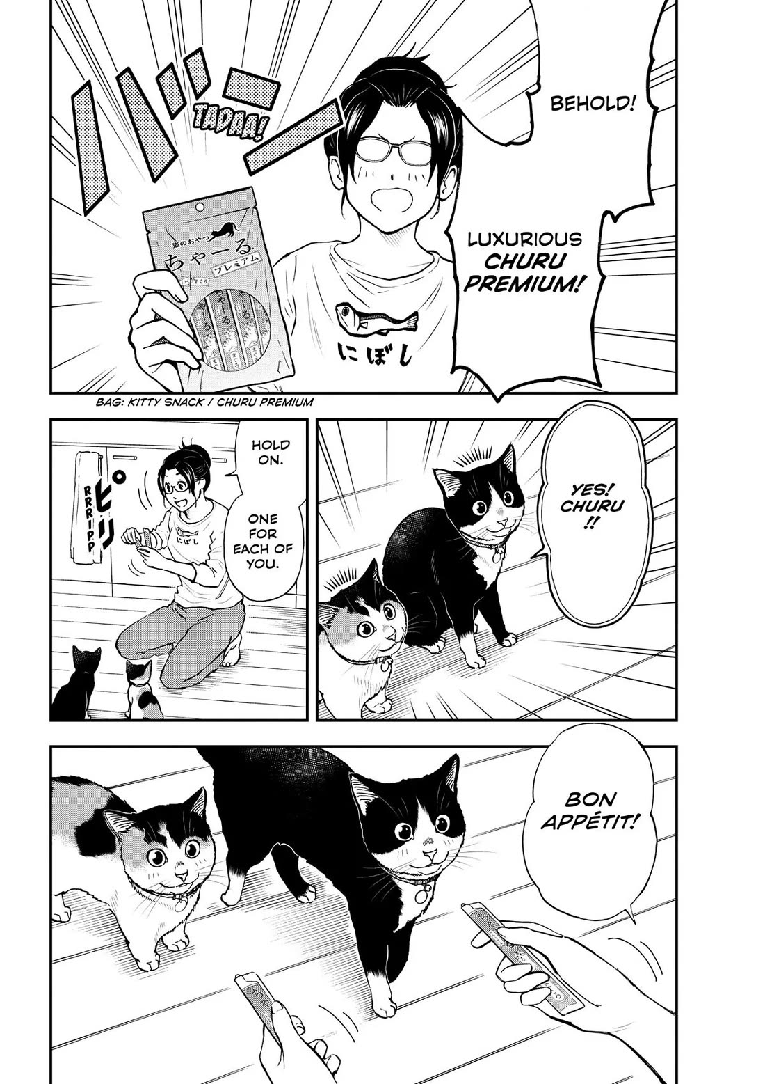 A Gamer Living with a Cat Chapter 34 page 15 - Chapter 34: My Name