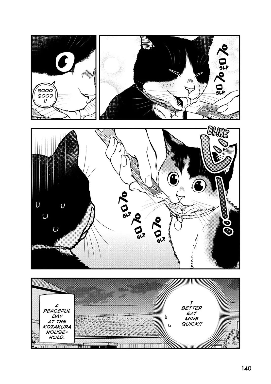 A Gamer Living with a Cat Chapter 34 page 16 - Chapter 34: My Name