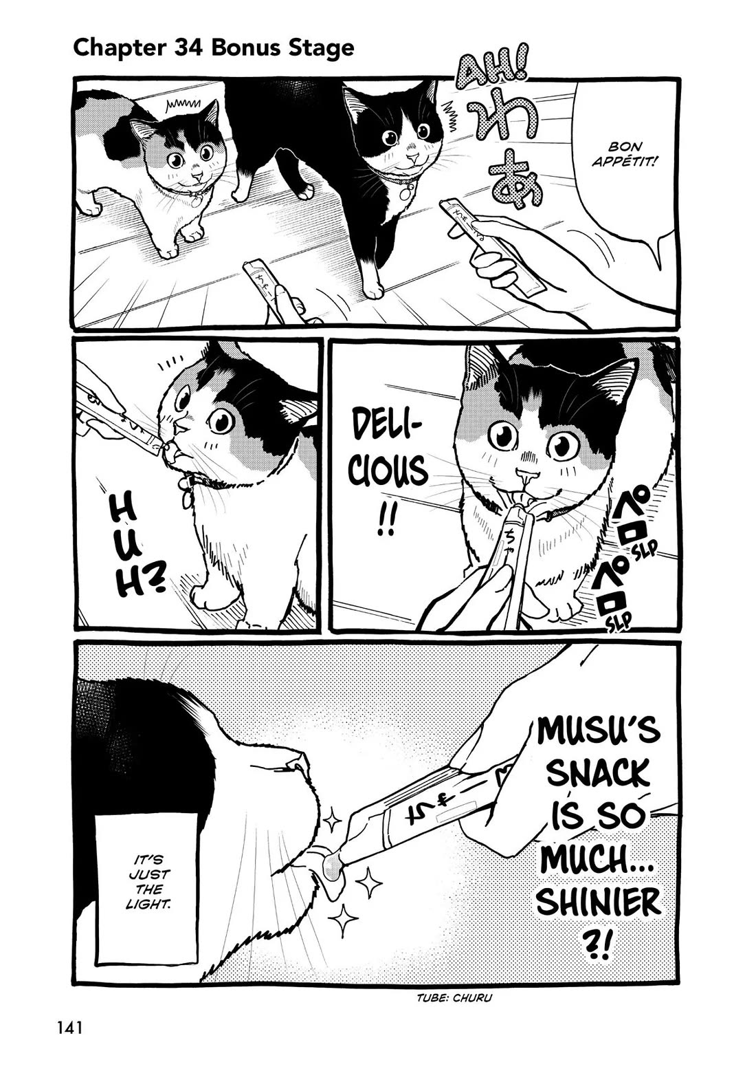 A Gamer Living with a Cat Chapter 34 page 17 - Chapter 34: My Name