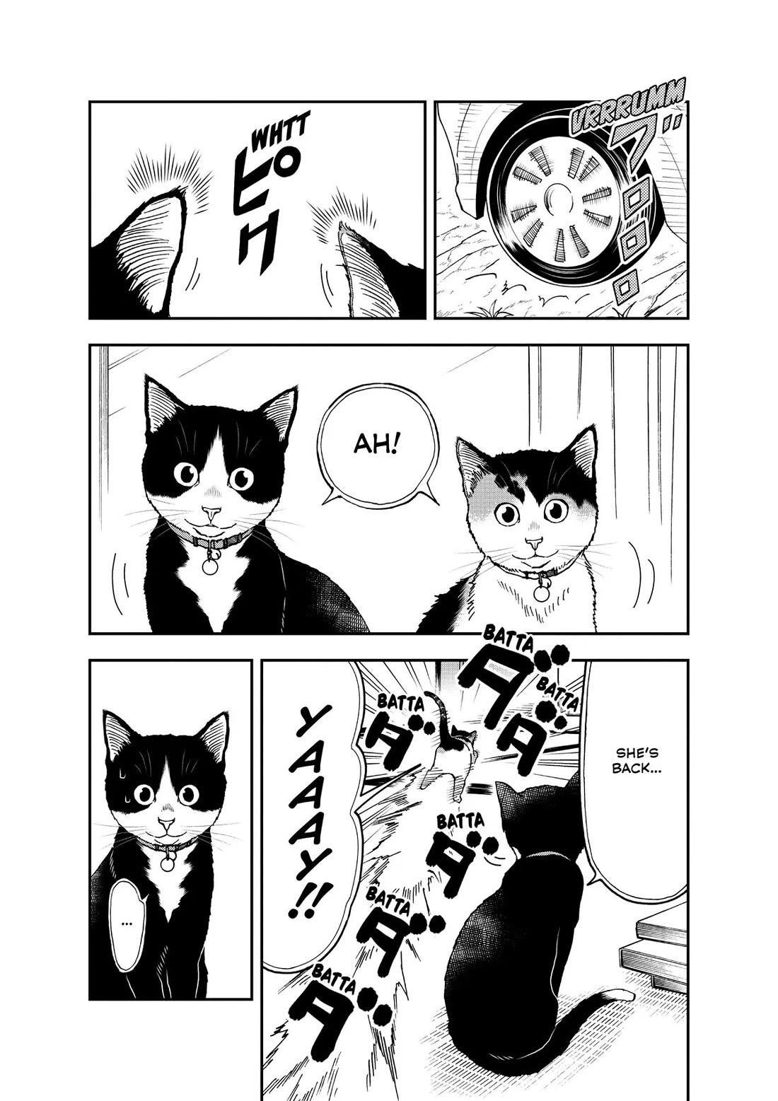 A Gamer Living with a Cat Chapter 34 page 2 - Chapter 34: My Name