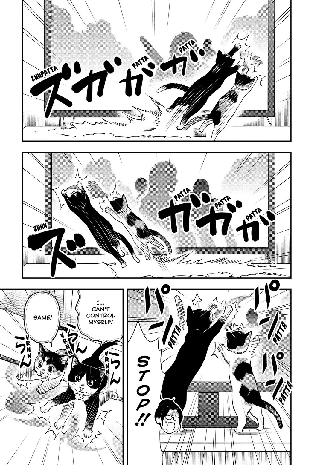 A Gamer Living with a Cat Chapter 34 page 9 - Chapter 34: My Name