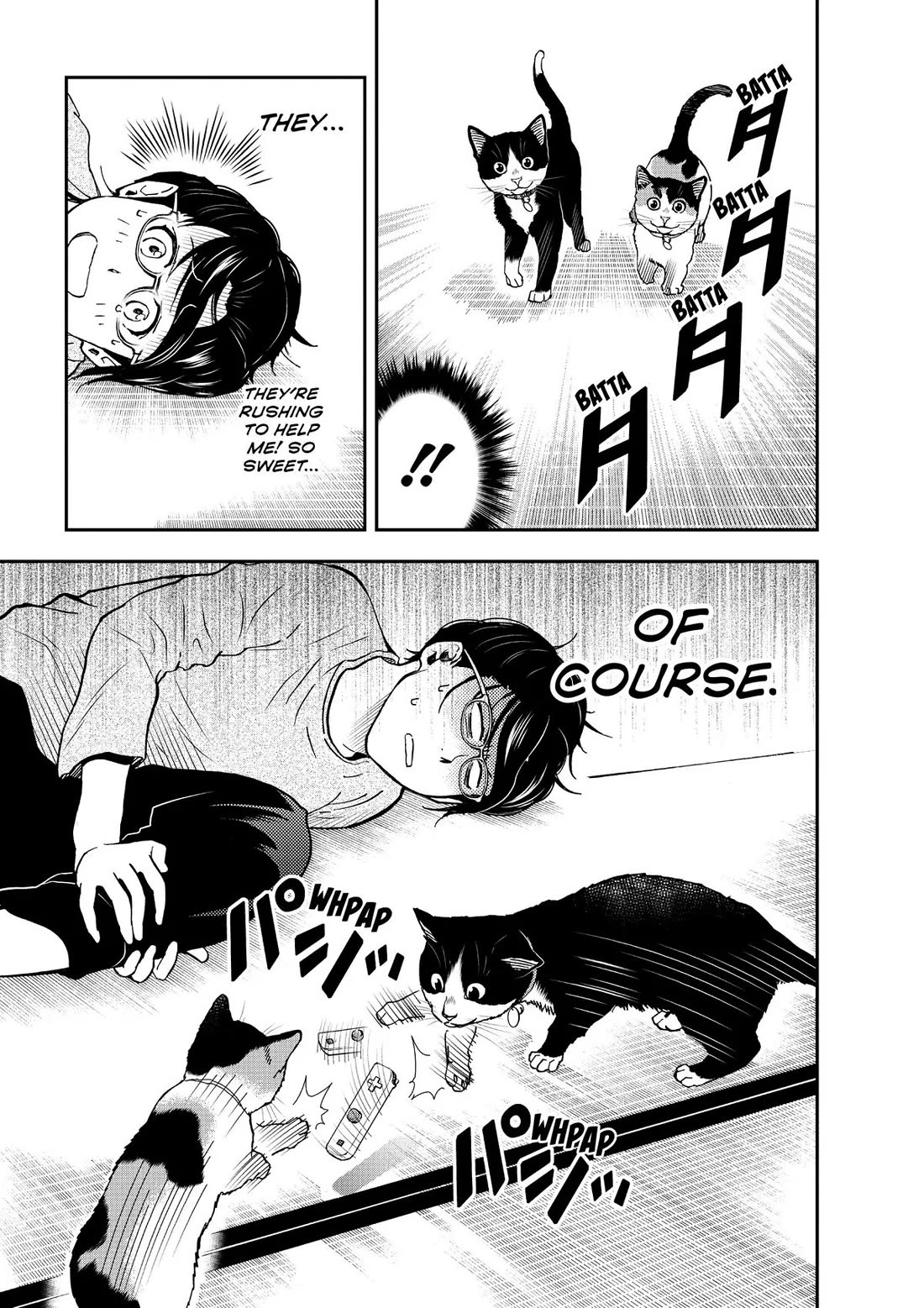 A Gamer Living with a Cat Chapter 35 page 15 - Chapter 35: Cat-Boxing and Diets