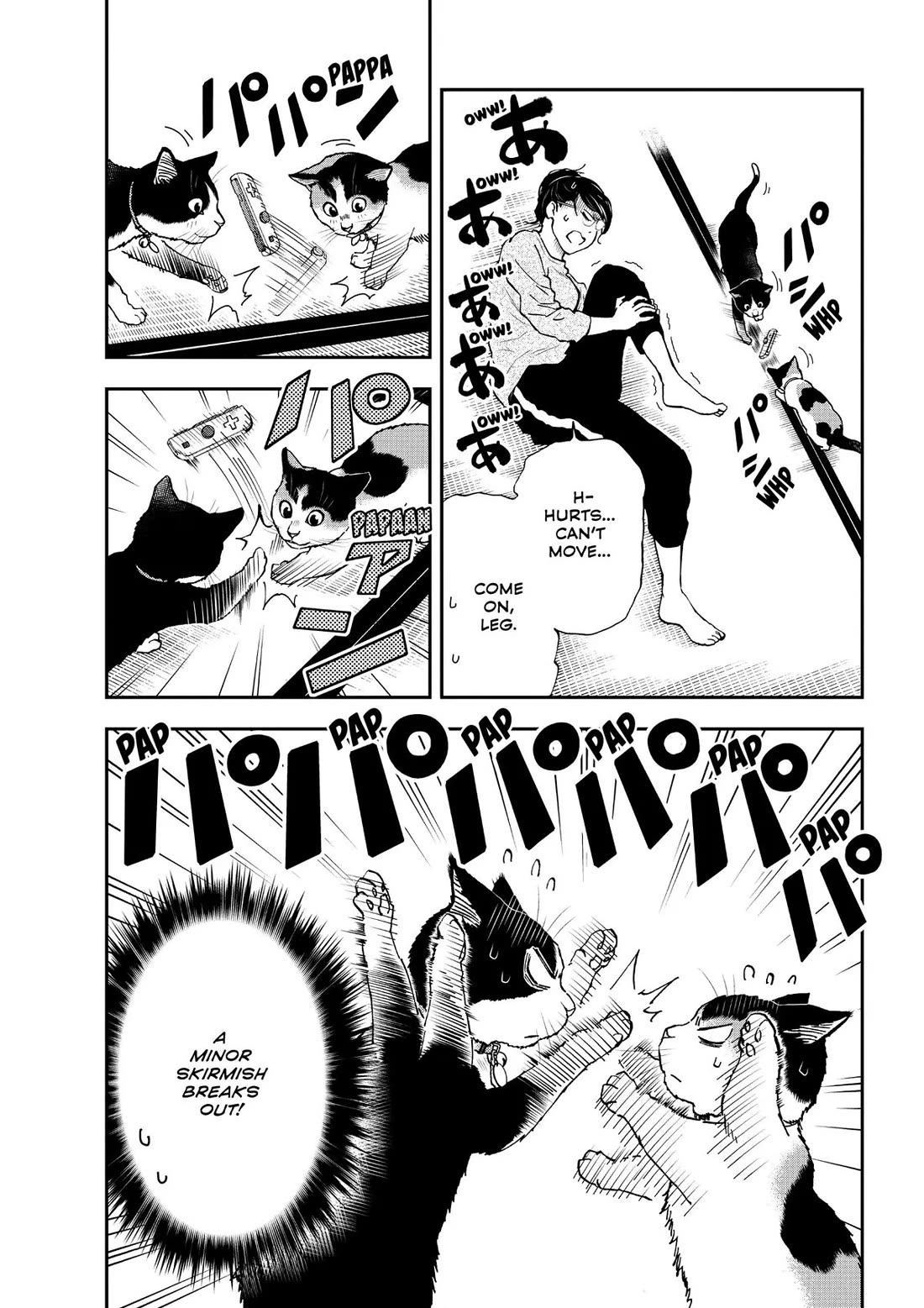 A Gamer Living with a Cat Chapter 35 page 16 - Chapter 35: Cat-Boxing and Diets