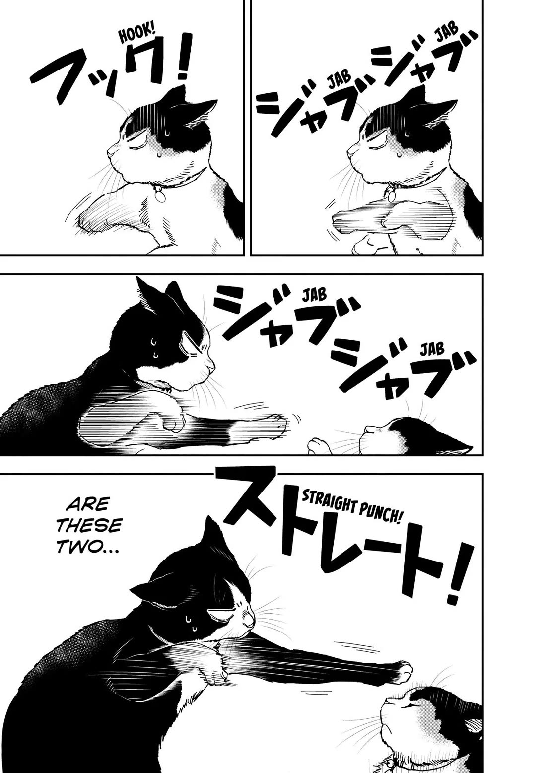 A Gamer Living with a Cat Chapter 35 page 17 - Chapter 35: Cat-Boxing and Diets