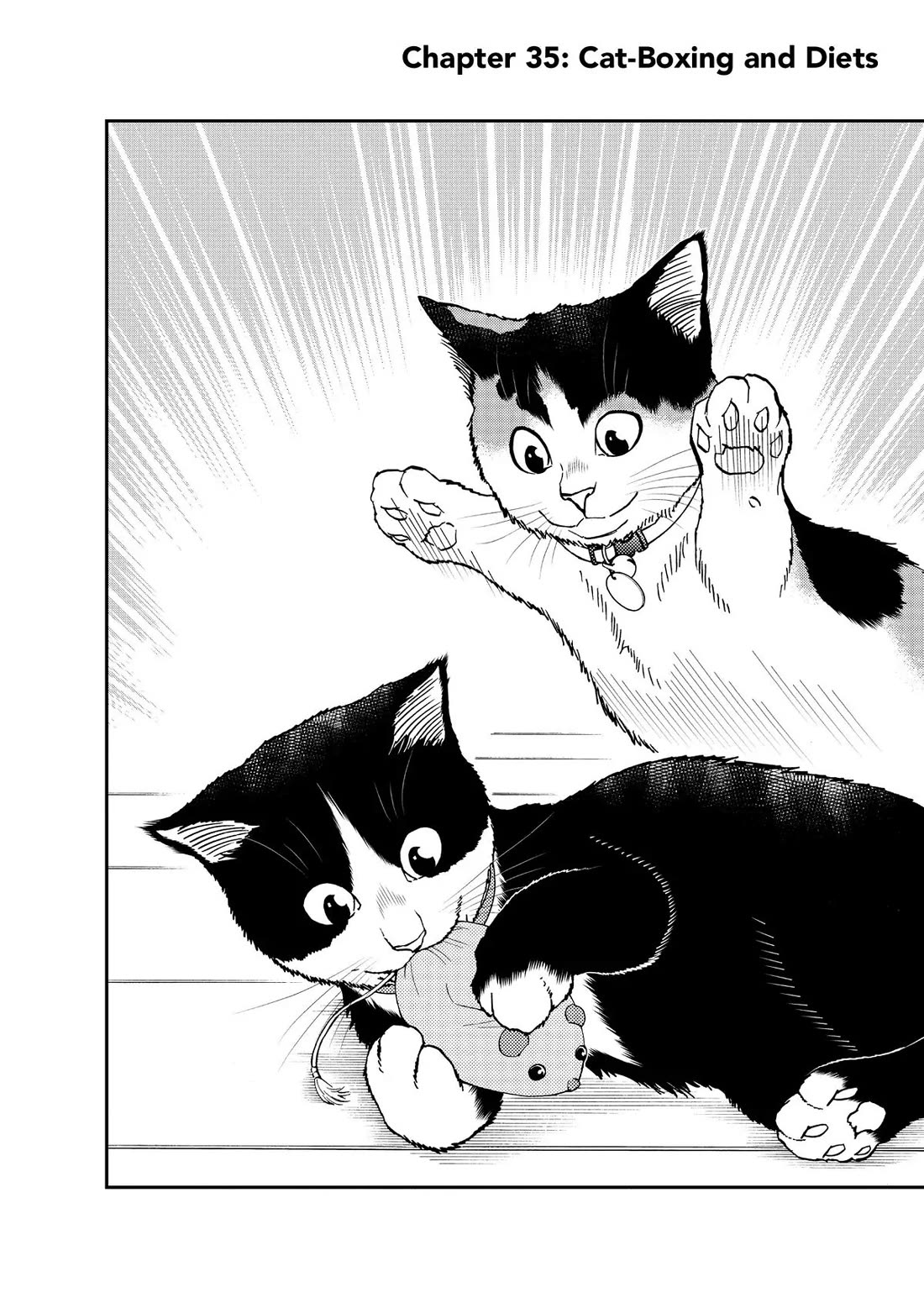 A Gamer Living with a Cat Chapter 35 page 2 - Chapter 35: Cat-Boxing and Diets