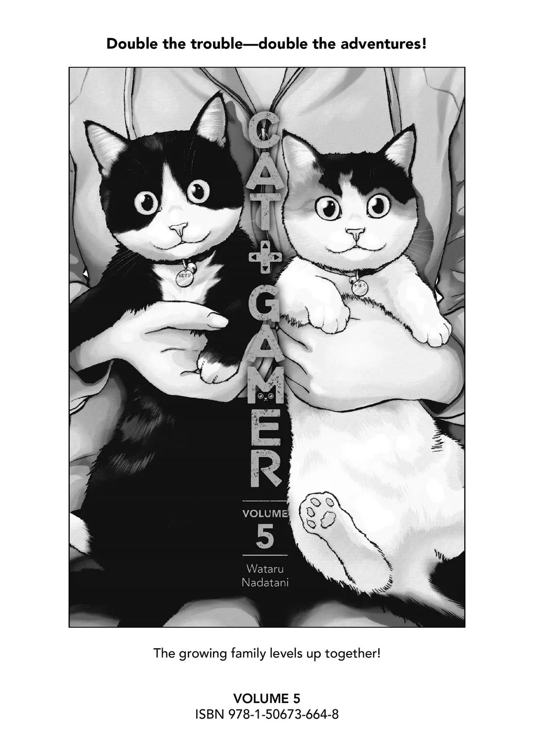 A Gamer Living with a Cat Chapter 35 page 20 - Chapter 35: Cat-Boxing and Diets