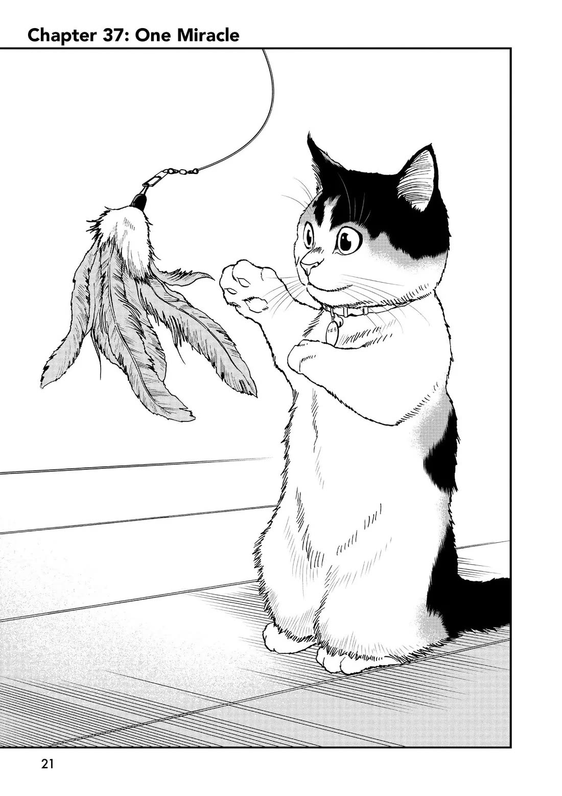 A Gamer Living with a Cat Chapter 37 page 1 - Chapter 37: One Miracle