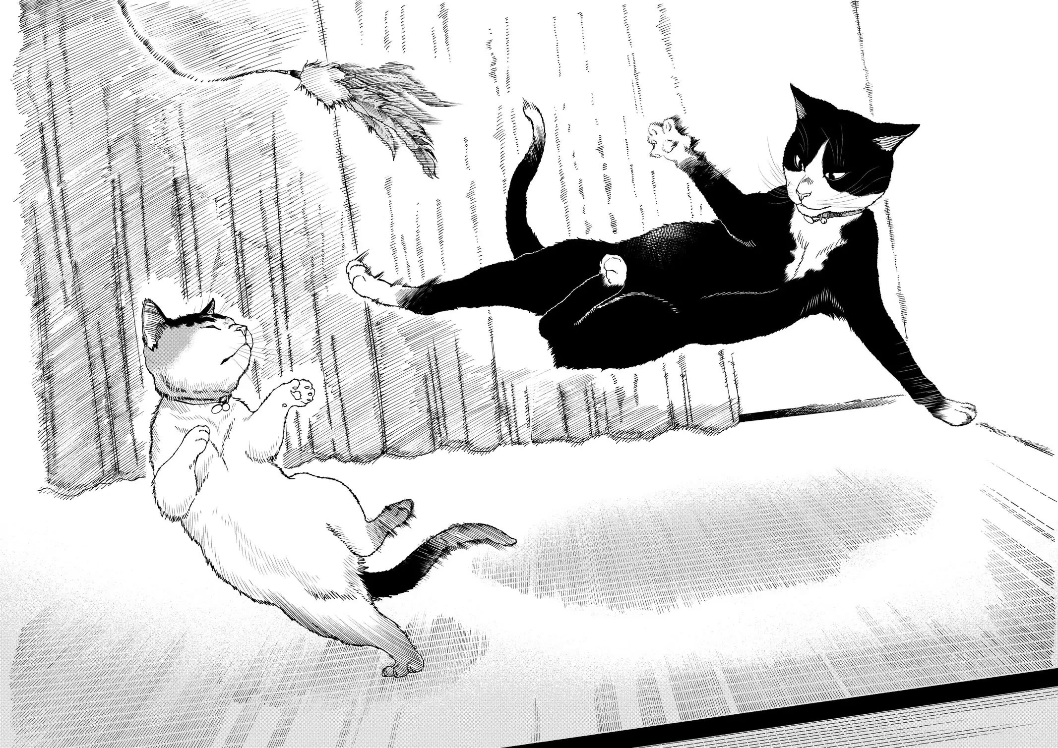 A Gamer Living with a Cat Chapter 37 page 8 - Chapter 37: One Miracle