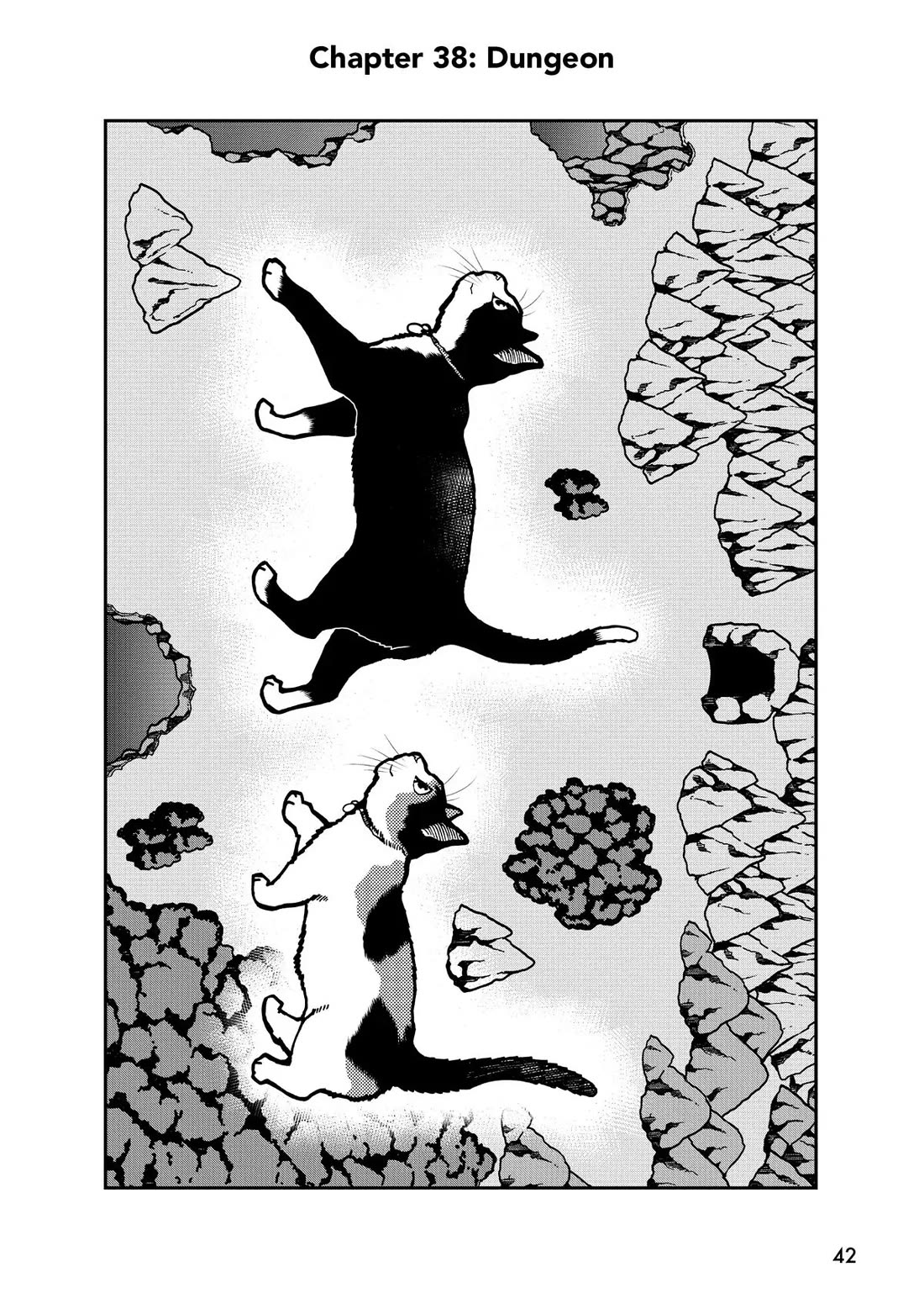A Gamer Living with a Cat Chapter 38 page 2 - Chapter 38: Dungeon