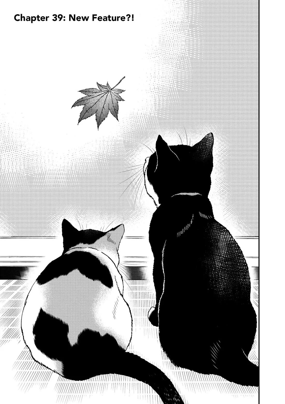 A Gamer Living with a Cat Chapter 39 page 1 - Chapter 39: New Feature?!