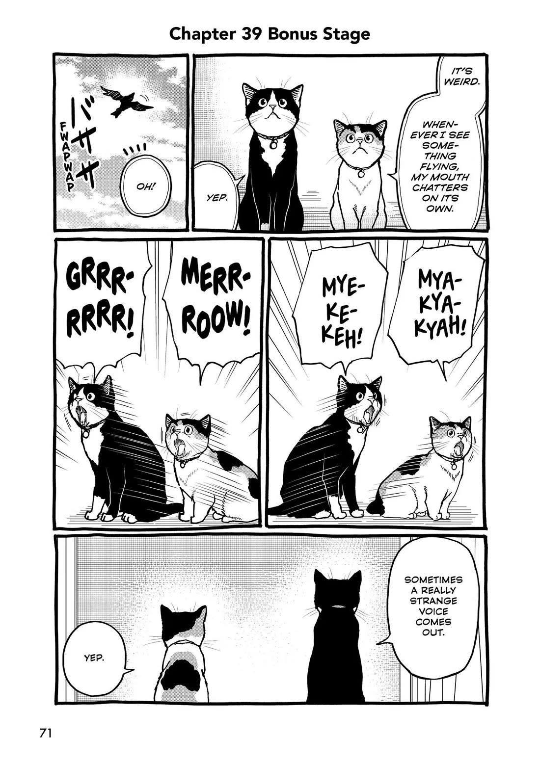 A Gamer Living with a Cat Chapter 39 page 11 - Chapter 39: New Feature?!