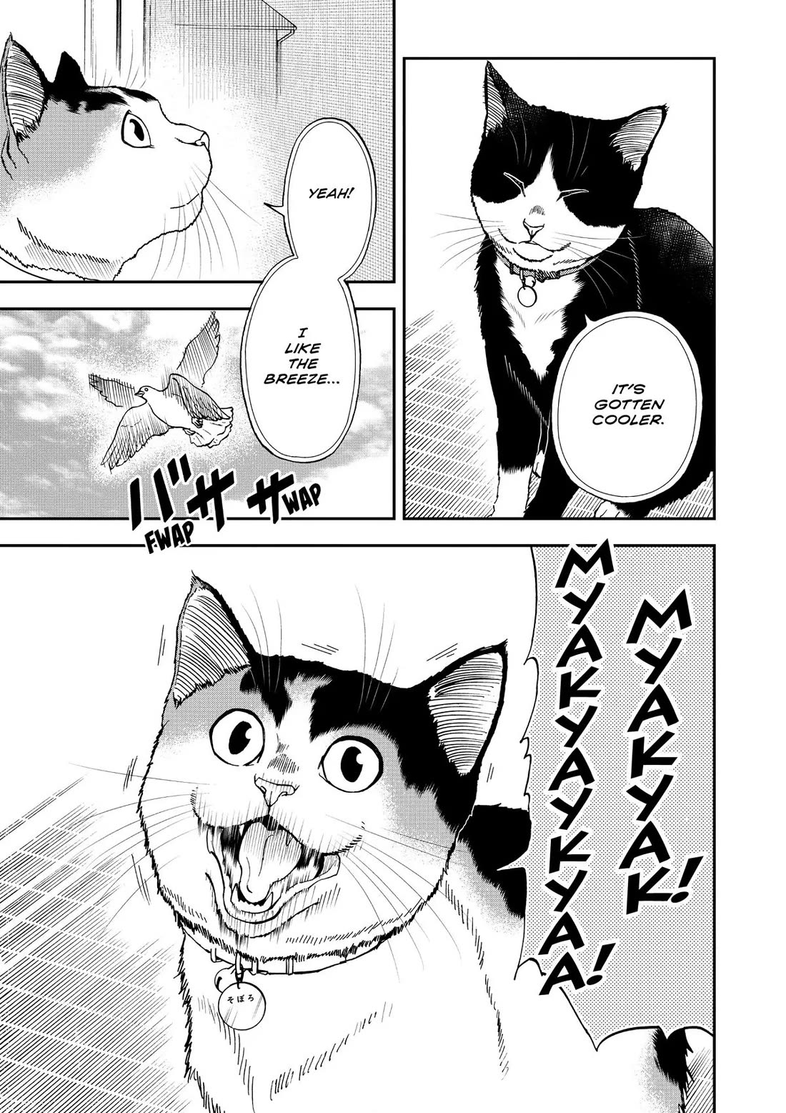 A Gamer Living with a Cat Chapter 39 page 3 - Chapter 39: New Feature?!