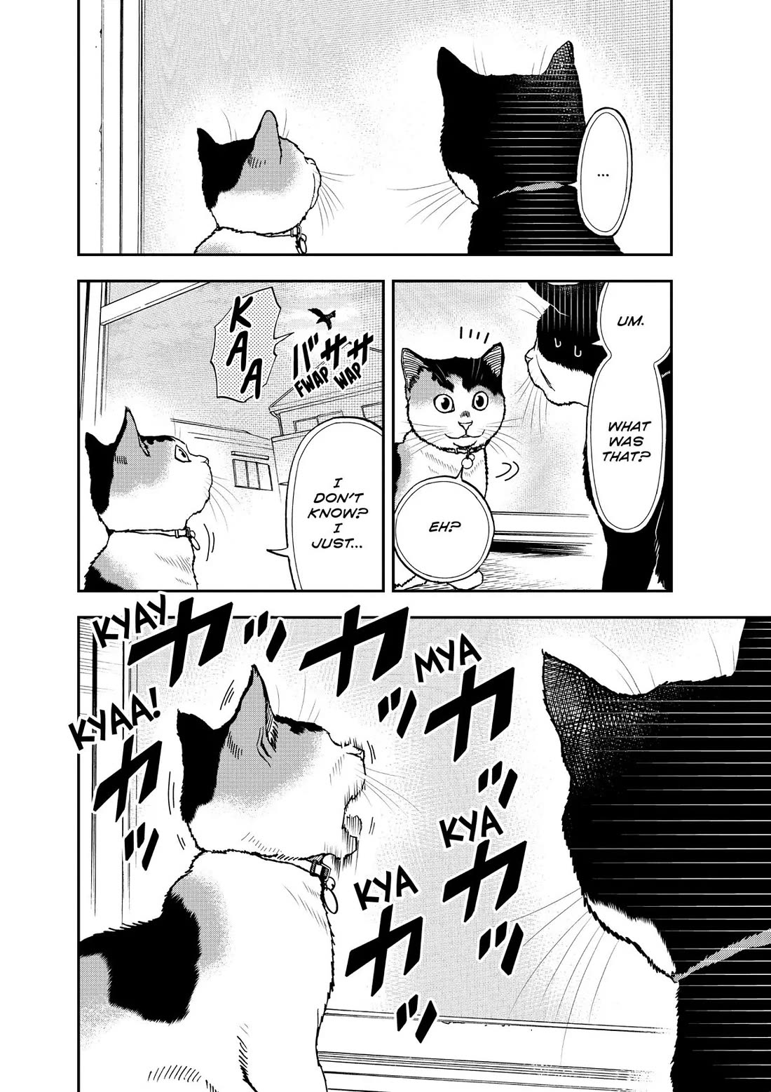 A Gamer Living with a Cat Chapter 39 page 4 - Chapter 39: New Feature?!