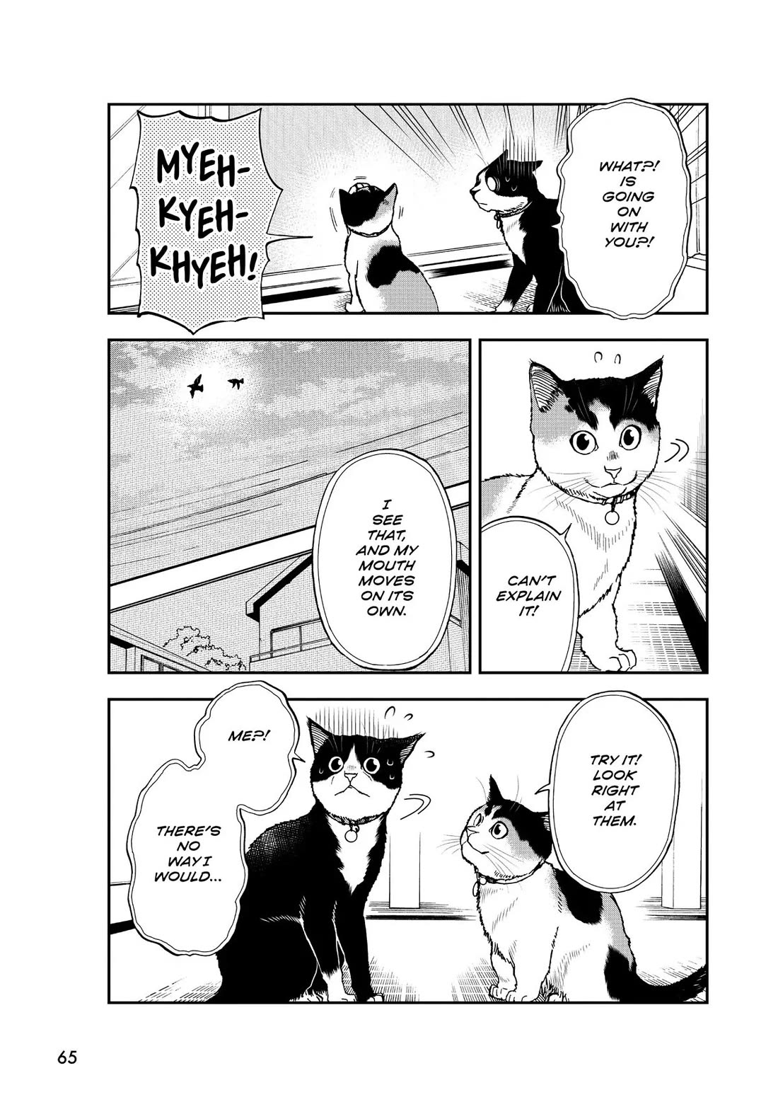A Gamer Living with a Cat Chapter 39 page 5 - Chapter 39: New Feature?!