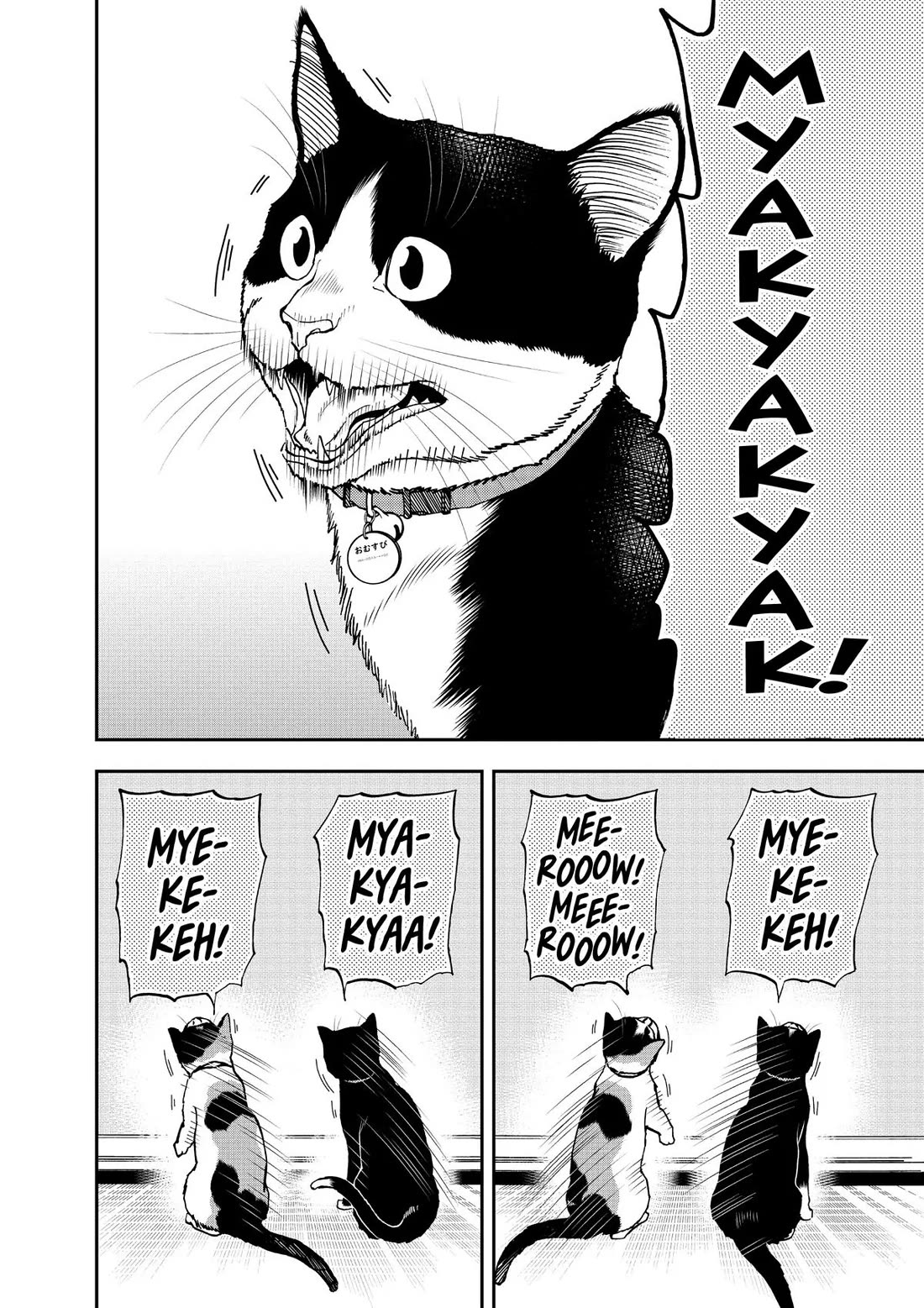 A Gamer Living with a Cat Chapter 39 page 6 - Chapter 39: New Feature?!
