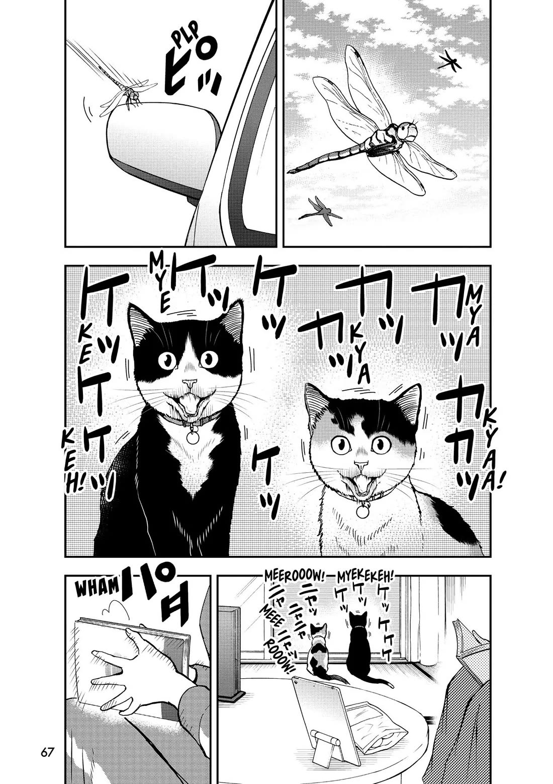 A Gamer Living with a Cat Chapter 39 page 7 - Chapter 39: New Feature?!