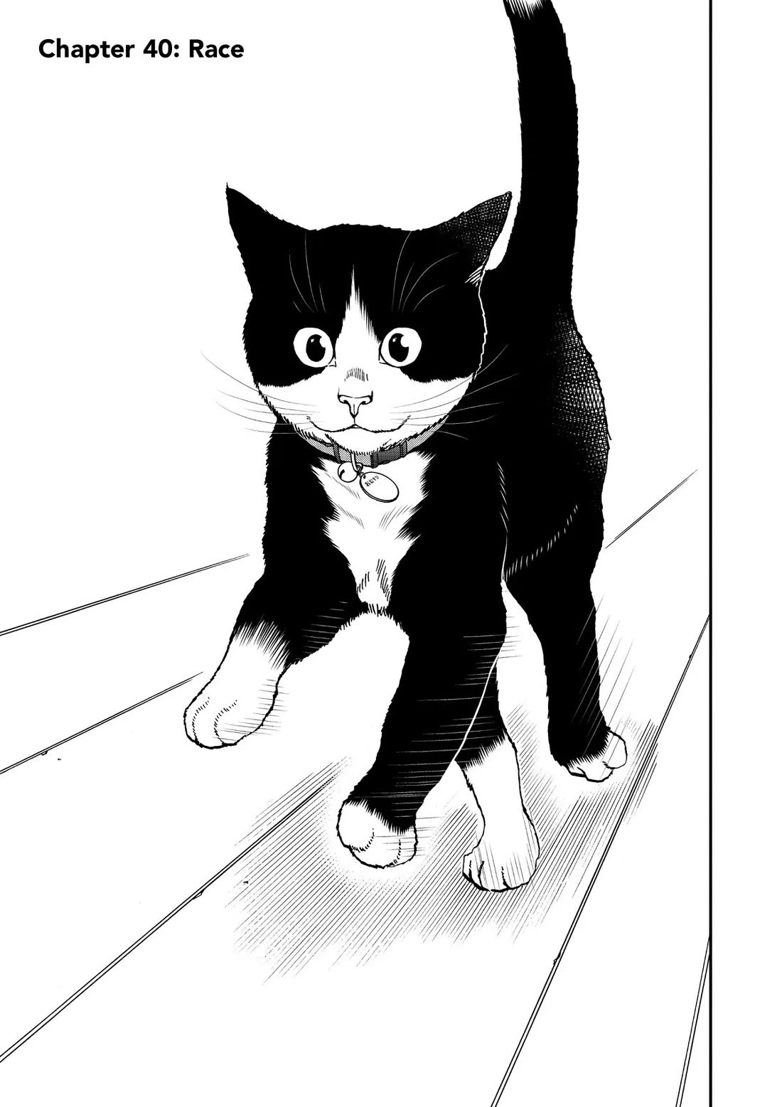 A Gamer Living with a Cat Chapter 40 page 1 - Chapter 40: Race