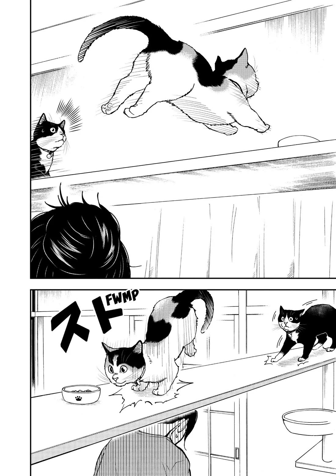 A Gamer Living with a Cat Chapter 40 page 14 - Chapter 40: Race