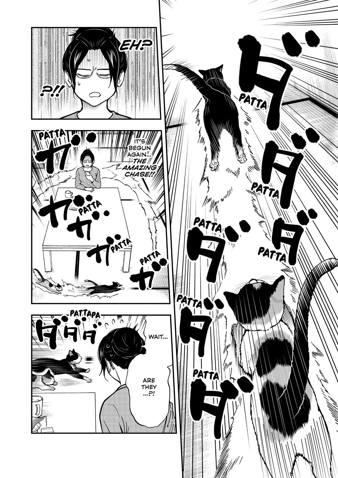 A Gamer Living with a Cat Chapter 40 page 4 - Chapter 40: Race