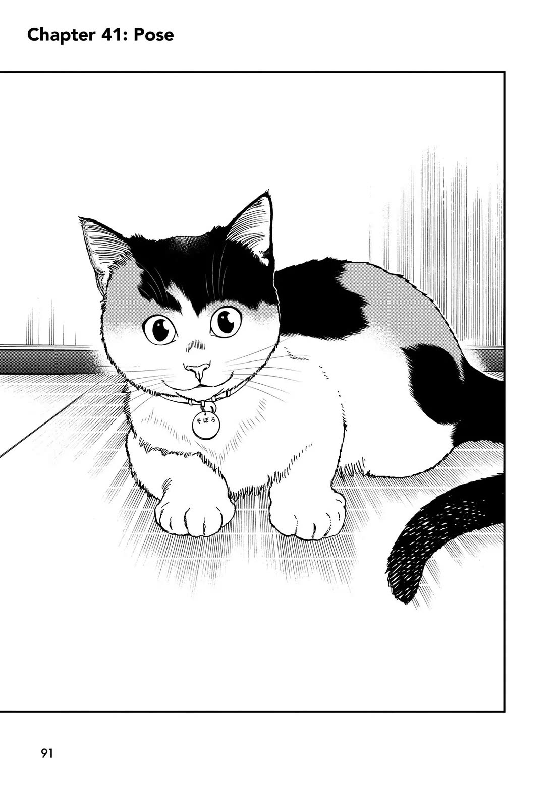 A Gamer Living with a Cat Chapter 41 page 1 - Chapter 41: Pose