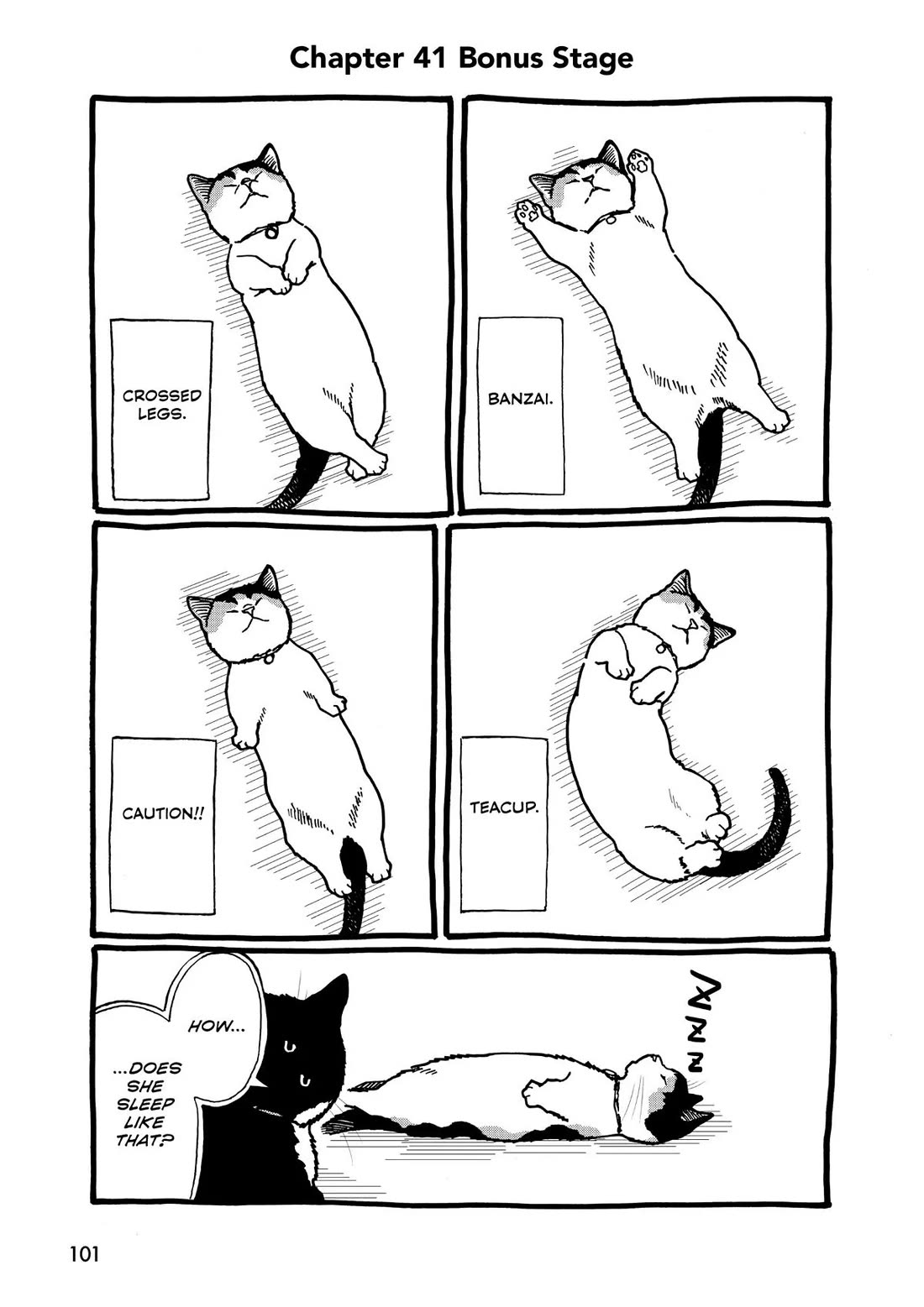 A Gamer Living with a Cat Chapter 41 page 11 - Chapter 41: Pose