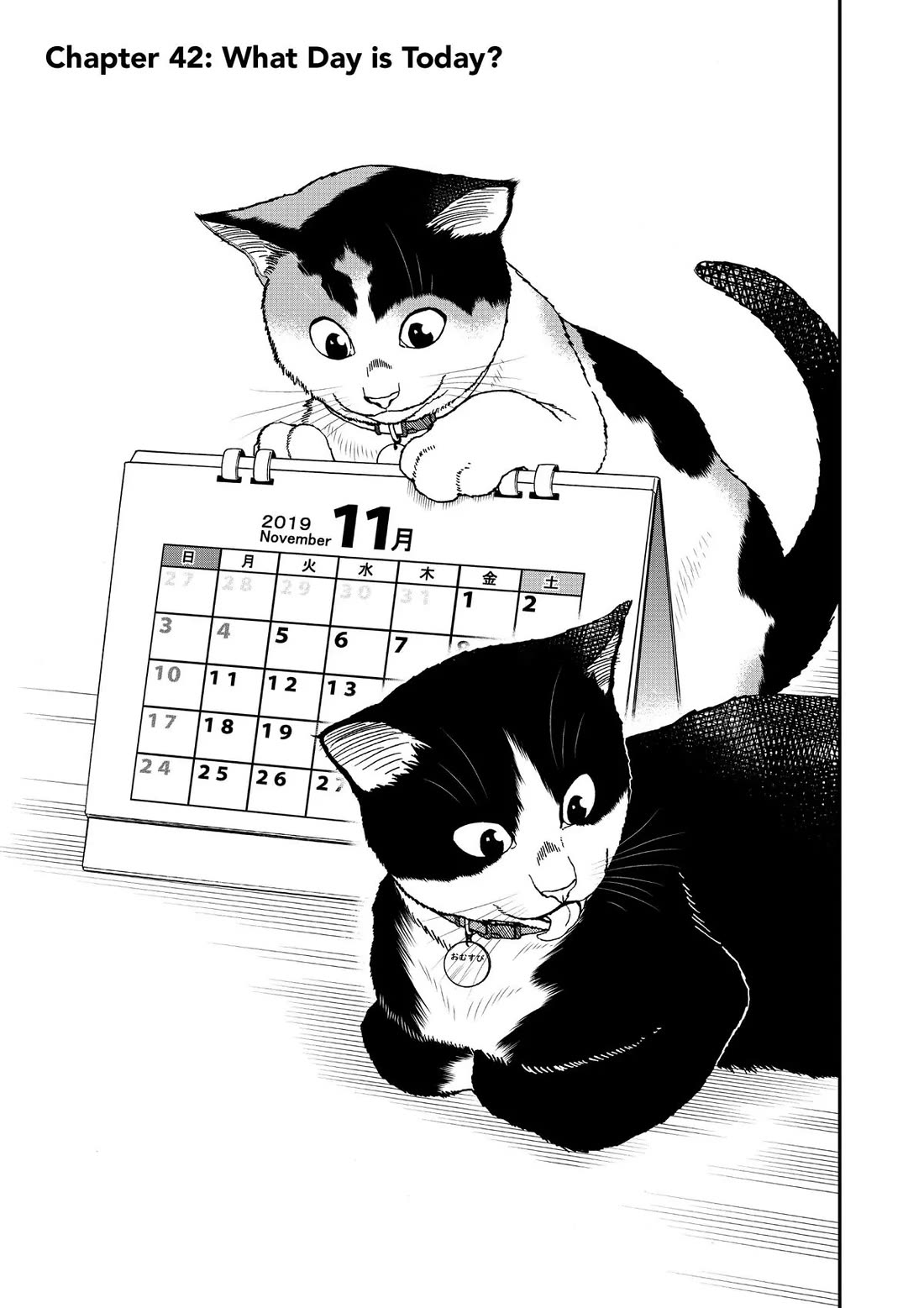 A Gamer Living with a Cat Chapter 42 page 1 - Chapter 42: What Day is Today?