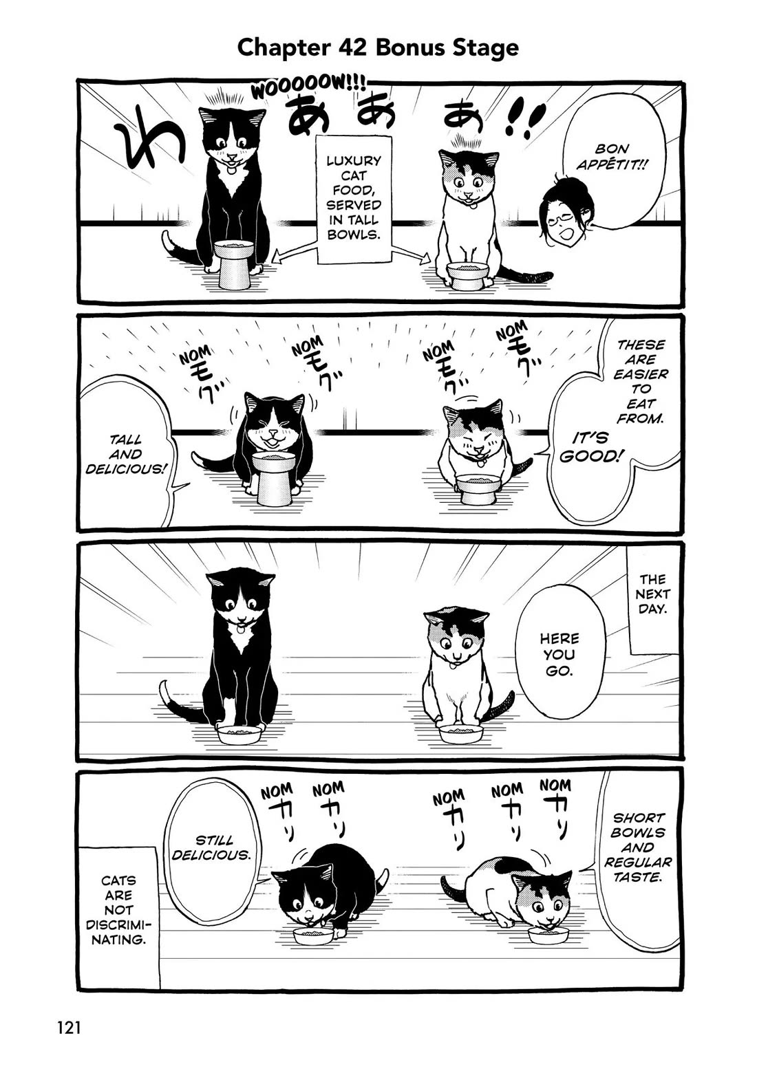 A Gamer Living with a Cat Chapter 42 page 19 - Chapter 42: What Day is Today?