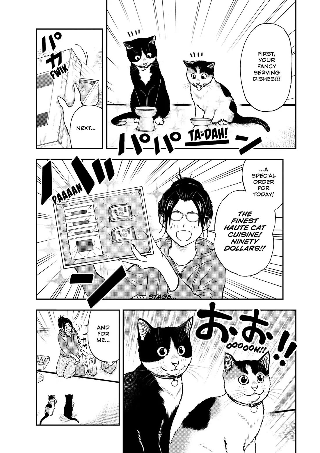 A Gamer Living with a Cat Chapter 42 page 8 - Chapter 42: What Day is Today?