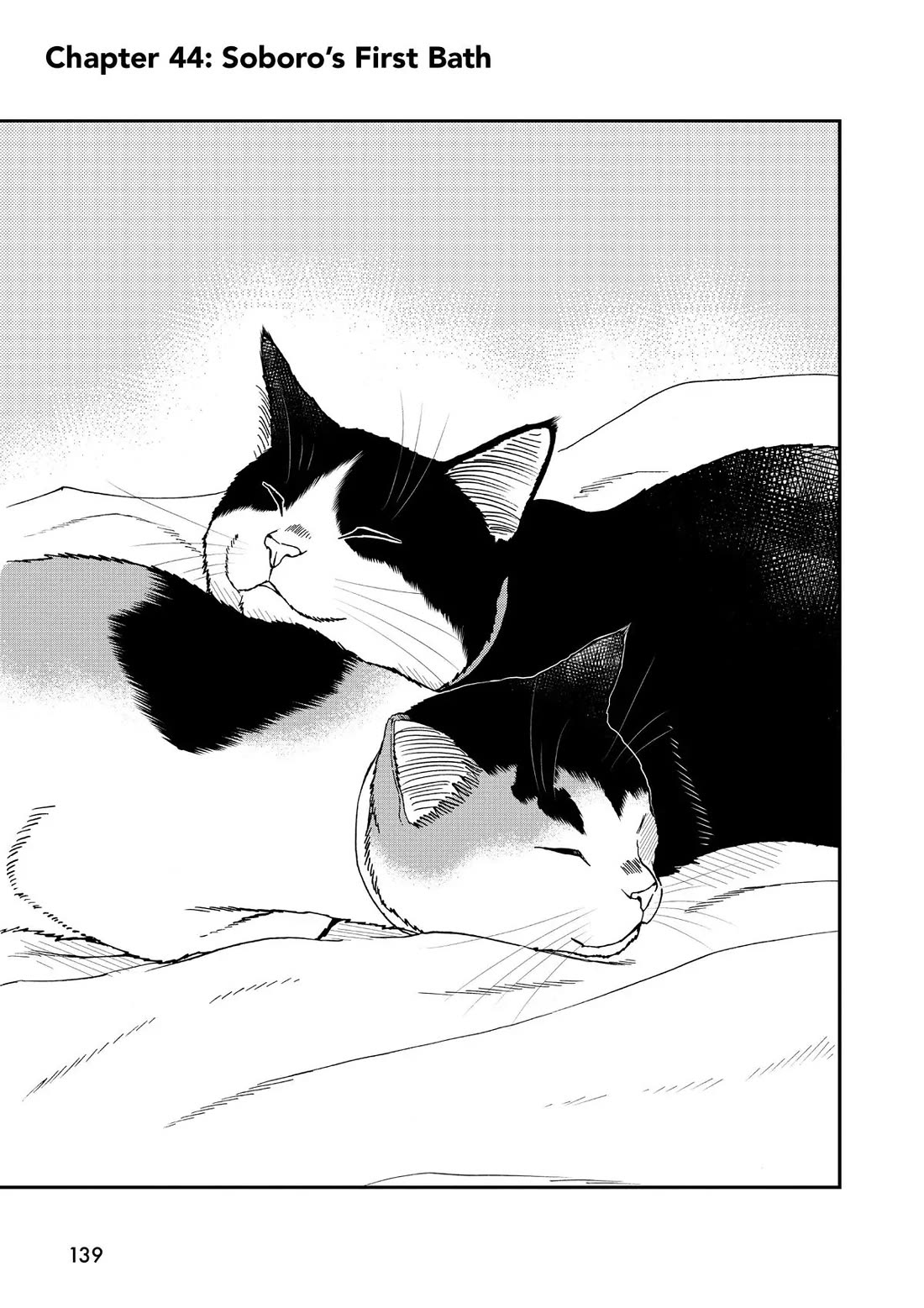 A Gamer Living with a Cat Chapter 44 page 1 - Chapter 44: Soboro's First Bath